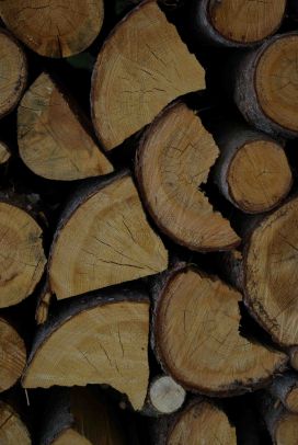 Durst Holz-Transporte