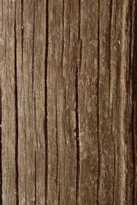 Durst Holz-Transporte